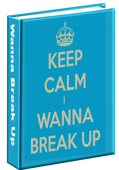 Wanna Break Up